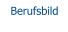 Berufsbild
