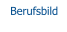 Berufsbild