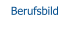 Berufsbild