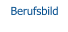 Berufsbild