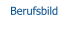 Berufsbild