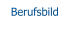 Berufsbild