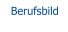 Berufsbild