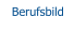 Berufsbild
