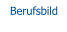 Berufsbild